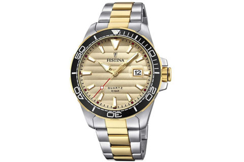 Oro e Ora COM – Festina – Uomo F20362 _ 1